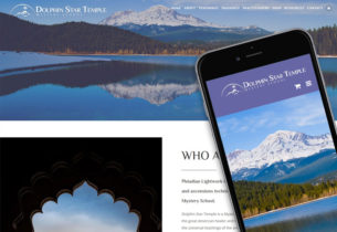 Portfolio—DolphinStar