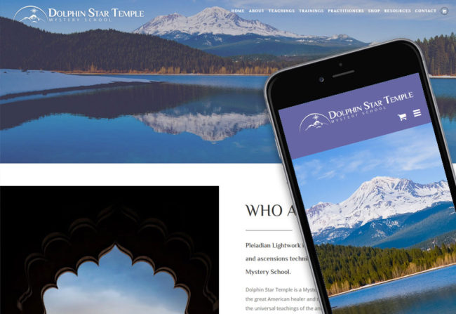 Portfolio—DolphinStar