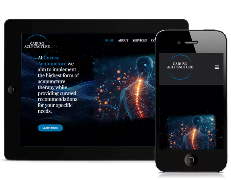 project_web-design-carusoacupuncture-v1